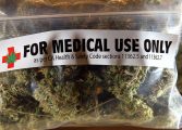 100 de parlamentari din toate partidele propun legalizarea canabisului în scop medicinal